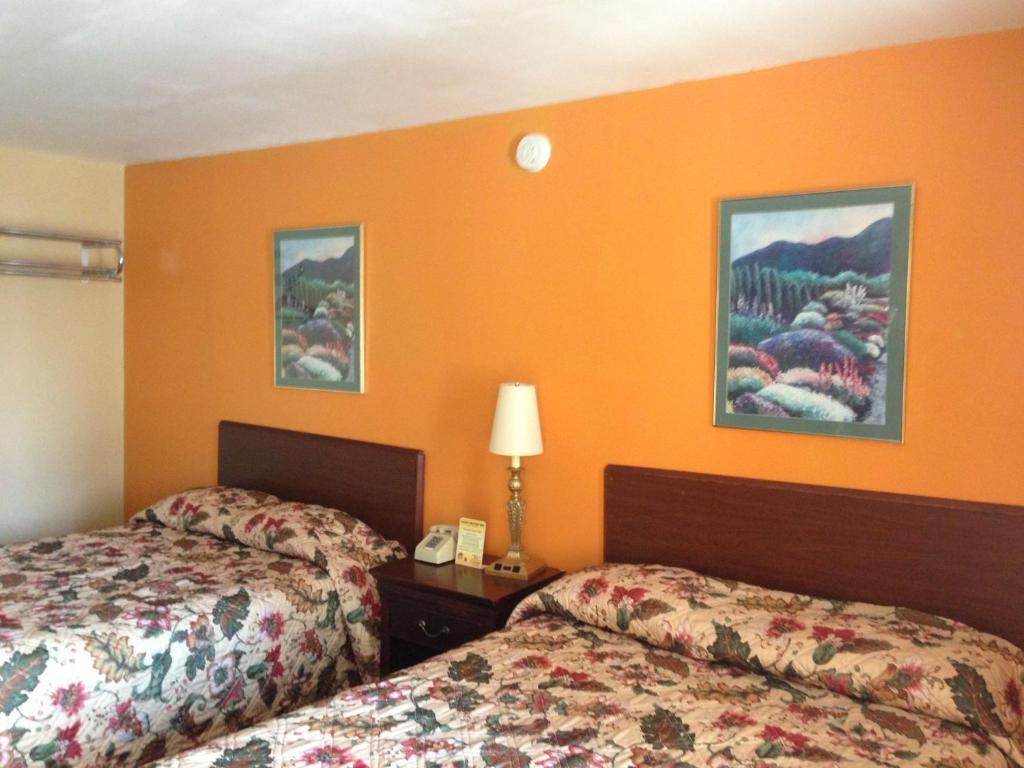 Cadet Motor Inn - Колдуотер Номер фото